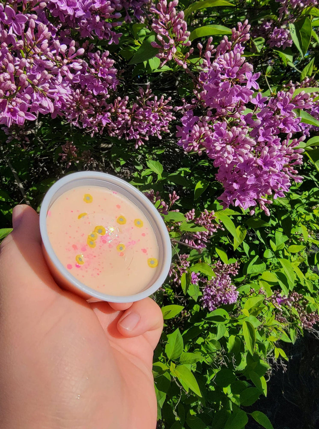 Fairy wax melt shot cups